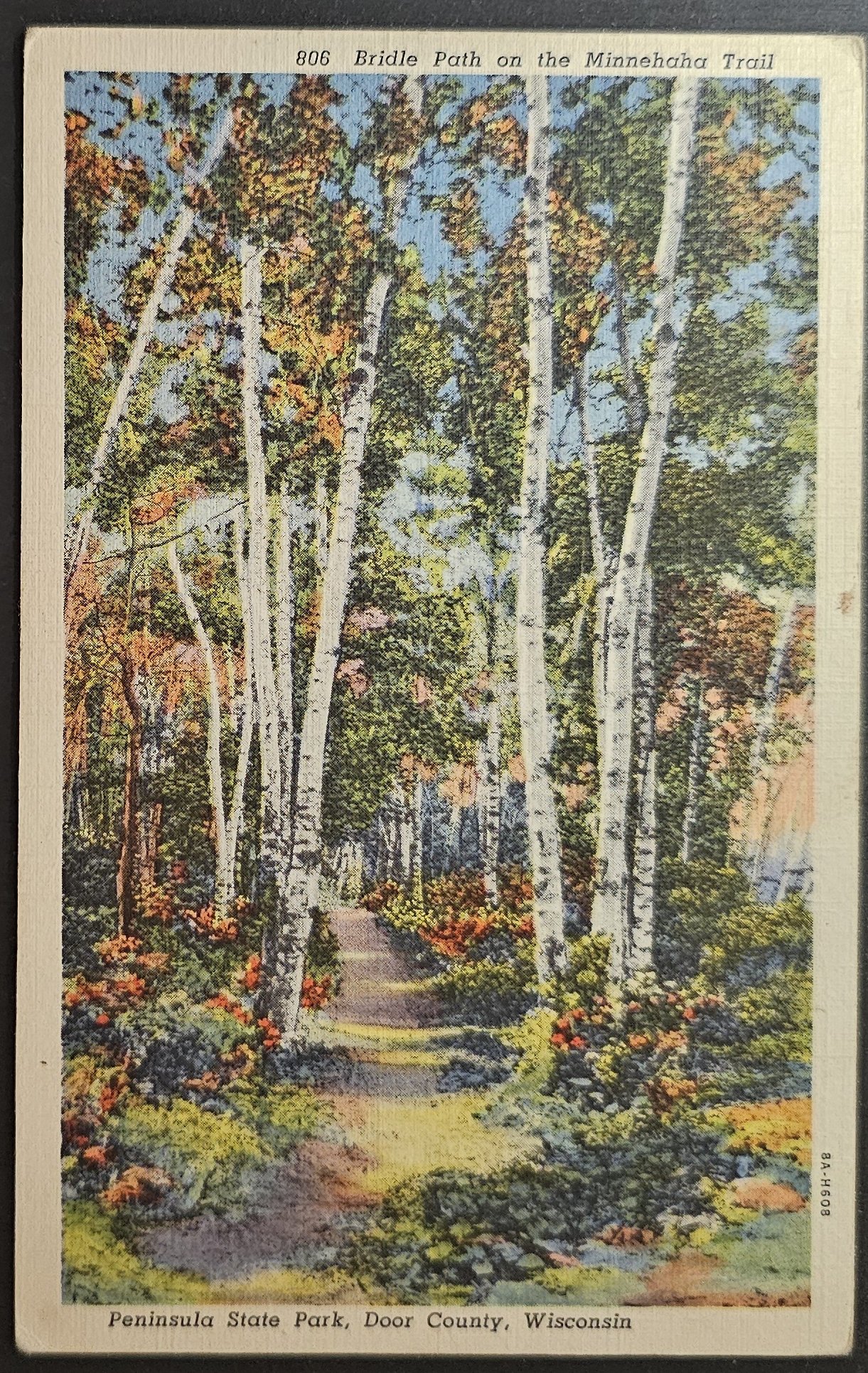 (image for) postcard USA - WI - Wisconsin #0022